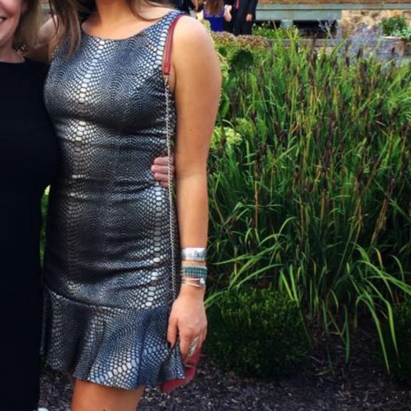 Ladakh Silver Snakeskin Ruffle Cocktail Dress, XS - Picture 4 of 4
